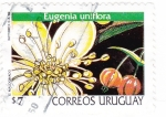 Sellos del Mundo : America : Uruguay : Eugenia uniflora