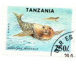 Stamps Africa - Tanzania -  