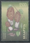 Stamps Europe - Belarus -  varios