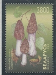 Stamps Europe - Belarus -  varios