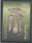 Stamps Belarus -  varios