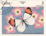 Sellos de America - Cuba -  Mariposas