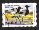 Sellos del Mundo : Africa : Zambia : Vanellus armatus