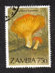 Stamps Africa - Zambia -  Cantharellus miniatescens