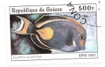 Stamps Africa - Guinea -  