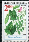 Stamps : Europe : Bulgaria :  varios