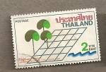 Stamps Asia - Thailand -  Año Nacional de los Arboles 1986