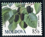 Sellos de Europa - Moldavia -  varios