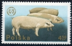 Stamps : Europe : Poland :  varios