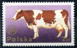 Stamps Poland -  varios