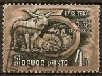 Stamps : Europe : Hungary :  Plan Quinquenal. Ganado.