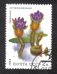 Stamps Russia -  Flores Acuaticas