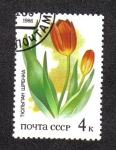 Stamps Russia -  Las plantas de las estepas Rusas