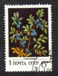 Stamps Russia -  Northern Arándano - Vaccinium uliginosum