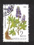Stamps Russia -  Plantas medicinales Protegidas en Siberia