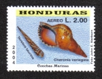 Sellos de America - Honduras -  Conchas Marinas