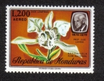 Sellos de America - Honduras -  Brassvola Flor Nacional