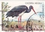 Stamps Spain -  Cigüeña negra  (16)