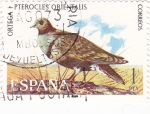 Sellos de Europa - España -  Ortega pterocles orientalis (16)