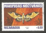 Sellos de America - Nicaragua -  Mariposa nocturna