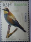 Stamps Spain -  Fauna - Abejaruco Cumún