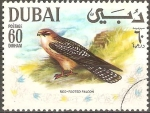 Stamps United Arab Emirates -  AVES.  HALCÒN  DE  PATAS  ROJAS.