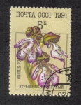 Stamps Russia -  SeÃ±ora de la orquÃ­dea - Orchis purpurea