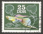 Stamps Germany -  1855 - Pez de acuario 
