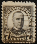Stamps United States -  Mckinley