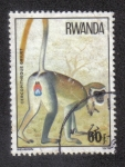 Stamps : Africa : Rwanda :  Cercopitheque Griuet