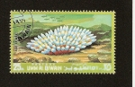 Stamps United Arab Emirates -  UMM AL QIWAIN - Fauna Marina - Anémona Azul