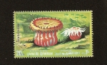 Stamps : Asia : United_Arab_Emirates :  UMM AL QIWAIN - Fauna Marina  - Anémona Ragactis Pulchra