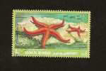 Stamps United Arab Emirates -  UMM AL QIWAIN -  Fauna Marina  - Estrella de Mar