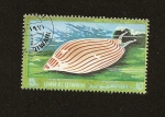 Stamps : Asia : United_Arab_Emirates :  UMM AL QIWAIN -  Fauna Marina - Gasterópodo - Amoria Elliotti