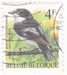 Stamps Belgium -  Ave-