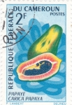 Stamps Africa - Cameroon -  Papaya