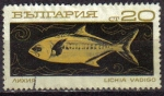 Sellos de Europa - Bulgaria -  BULGARIA 1969 Michel 1954 SELLO PECES DEL MAR Yvert1539