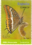 Stamps : Europe : Spain :  MARIPOSAS.  CHARAXES  JASIUS.