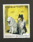 Sellos de America - Cuba -  Animales de compañía