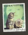 Sellos de America - Cuba -  Animales de compañía