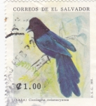 Stamps El Salvador -  Cissilopha melanocyanea