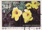 Sellos de Africa - Comores -  Allamanda cathartica - Flora