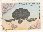 Stamps Cuba -  Tortuga marina