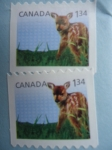 Stamps : America : Canada :  fauna.