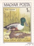 Stamps Hungary -  Aves