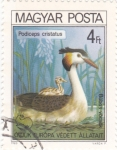 Stamps Hungary -  Aves
