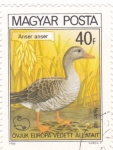 Stamps Hungary -  Ave