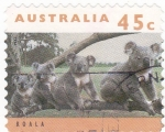 Sellos de Oceania - Australia -  Koalas