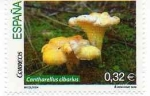 Stamps Spain -   Cantharellus cibarius
