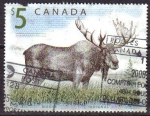 Stamps : America : Canada :  CANADA 1999 Scott 1701 Sello Animales Alce Usado Michel 2164